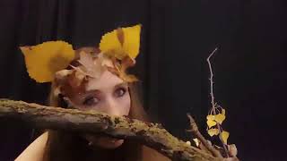 VID 20221102 194615