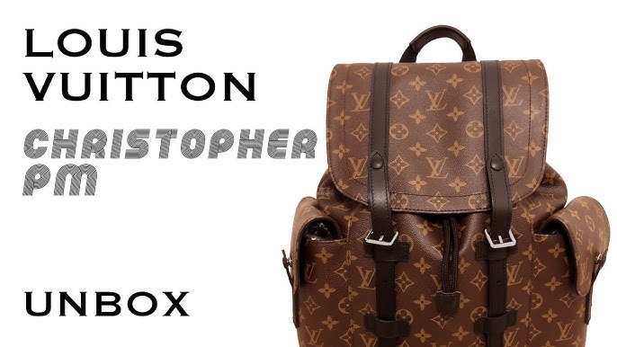 Louis Vuitton Christopher Macassar PM Backpack Review & Try On (Monogram  Brown Canvas) 