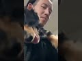 【ミニチュアダックスフンド】むむ。パパに抱っこされててもママに夢中かよ😭#ミニチュアダックス #shorts