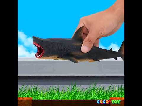 A megalodon lives in my front <strong>yard</strong>! 2 #Shorts ｜sharks for kids｜CoCosToy