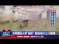 鳳凰颱風襲台