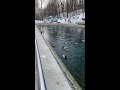 Центральный парк Воронежа