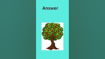 Guess the tree ⁉️🎄#Riddlesgarden #Fun with logic