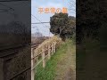 懐旧、舟木一夫さん「旅をしたけれど」。関ヶ原野上の平忠常の墓に来ました。平安時代中期の関東の有力武将でしたが朝廷に対して反乱「平忠常の乱」を起こし降伏、京に護送中この地で病死。祖父は有名な平将門。