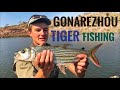 Tiger Fishing and Camping on the Runde River Gonarezhou National Park (Episode 2) July 2020