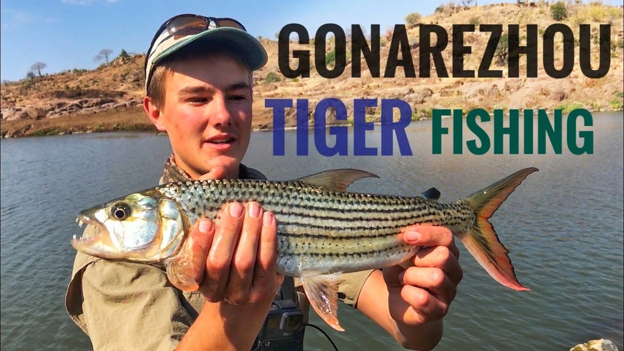 Рыбалка на тигра и кемпинг на реке Рунде в национальном парке Гонаречжоу (Эпизод 2) Июль 2020 г.