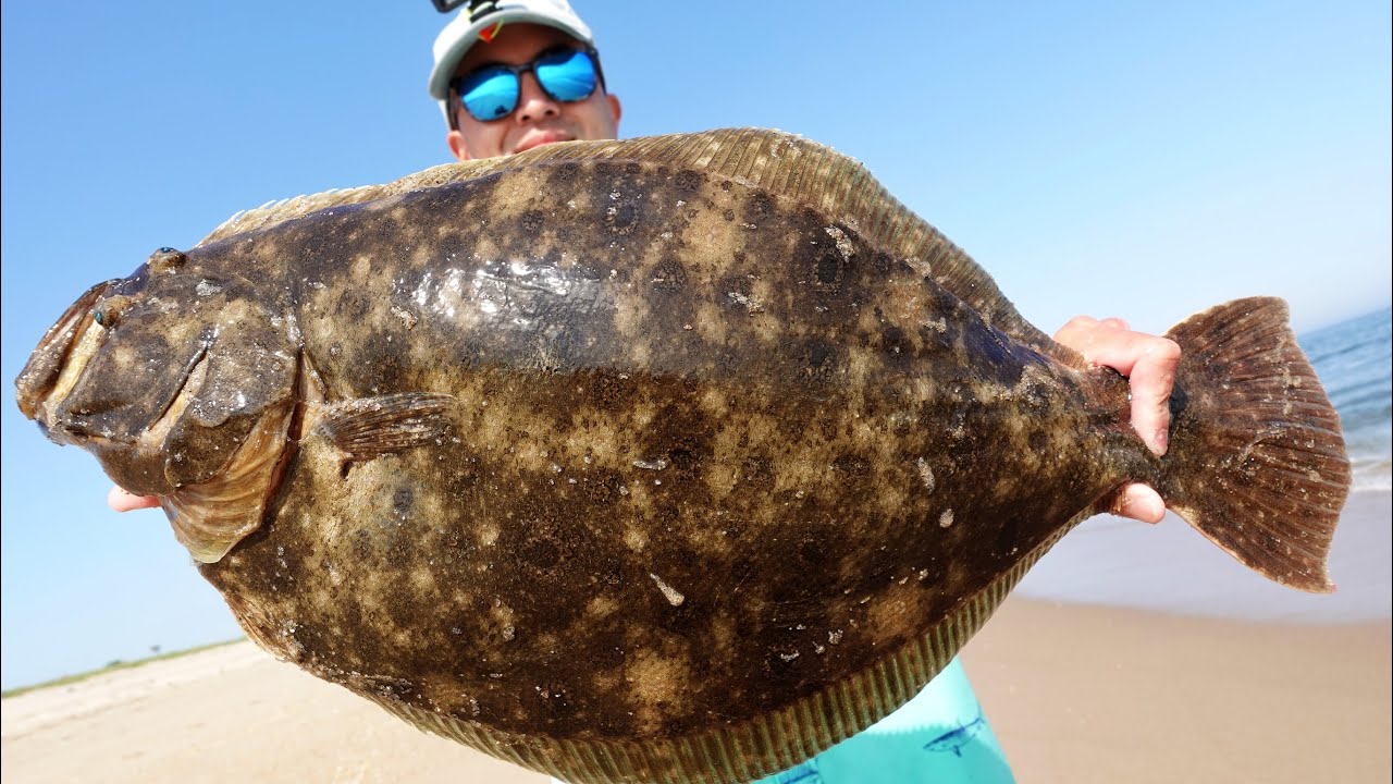 GIANT Fluke from Shore + Catch and Cook Epic Flounder Fishing w/Single Jig and Gulp YouTube