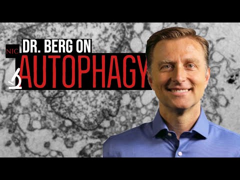 EX: Dr. Berg on Autophagy