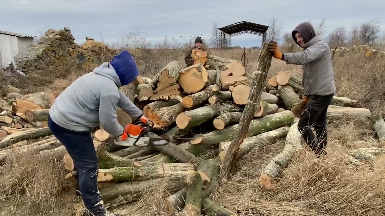 This STIHL Cut Changes Everything