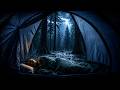 You’ll Drift Into Deep Sleep Instantly 🌧️ Camping Tent Rain Sounds for Sleeping & Relaxation