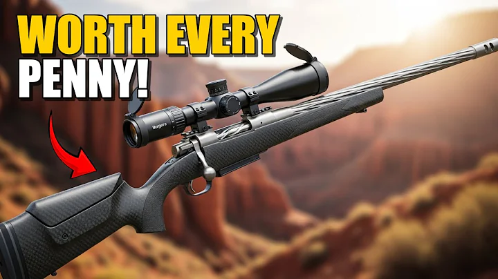 These 5 Precision Rifles Are Worth EVERY Penny in 2025.