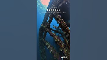 Insta360 X4 - Invisible Dive Kit