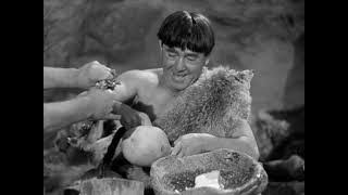 The Three Stooges I'm A Monkey's Uncle 1948 Full Episodes