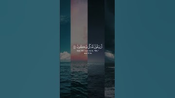 أو ليس الذي خلق السموات والأرض بقادر على أن يخلق مثلهم بلى . [#سورة_يس /القارئ #محمد_ربيع