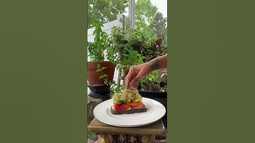 @kurleykath 🪴Open Face Sandwich-High Raw Vegan •Raw bread recipe: @therawchef Dense and flavorful🌻