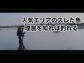【完全解決】魚はいるのに釣れない。人気エリアの「スレた魚」に強制的に口を使わせる3つの理論
