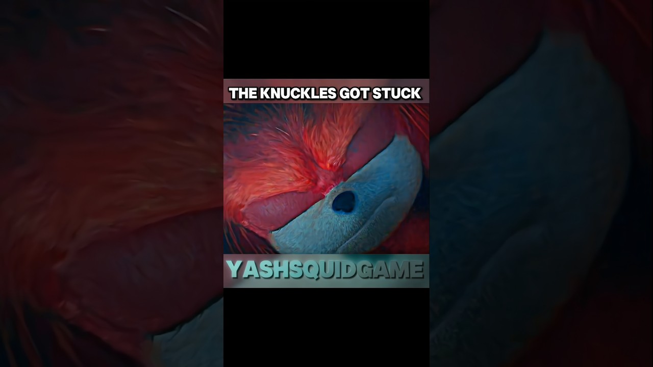 sonic save knuckles | sonic the hedgehog | sonic 2 