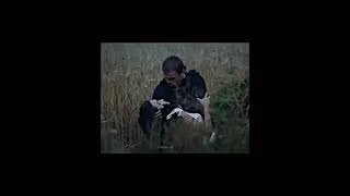 Herkes Mutlu Son Ister Dimi?