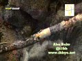 المصحف المرئي سورة النور 53 ـ الفرقان 20 ـــ الشيخ ياسر الدوسري قناة آيات