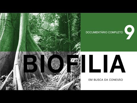 Vídeo: O que é biofilia - informações sobre o efeito biofilia das plantas