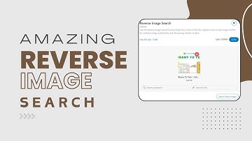 How to Reverse Image Search in Google Using Reverse Image Search Tool - Easy Guide!