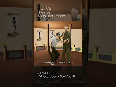 YouTube player