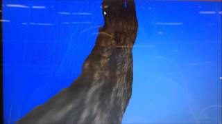 Flight simulator-CS 418 MP 2