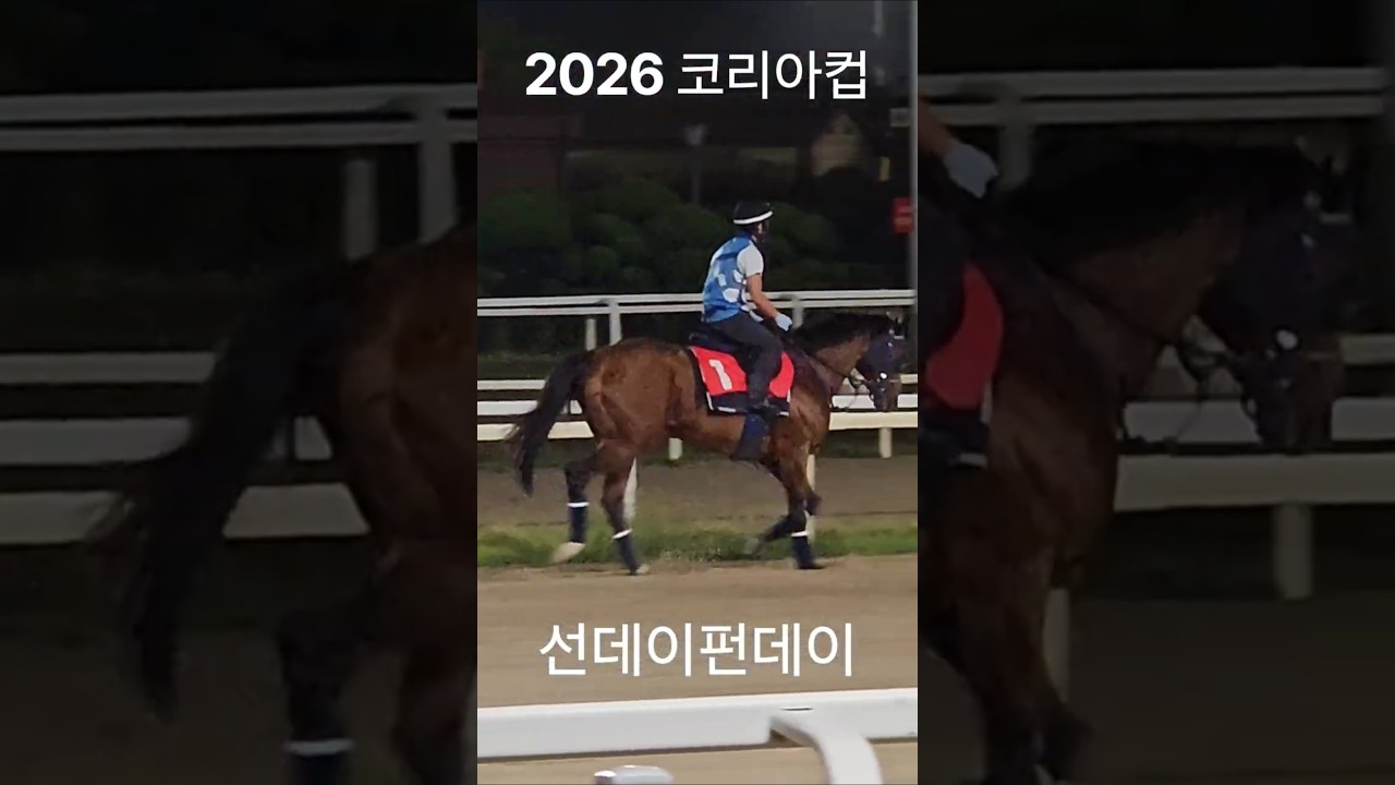 2026 코리아컵 8월 29일