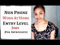 NON PHONE Work At Home JOBS For Introverts. Entry Level.