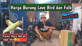 Latest Lovebird and Cockatiel Prices | June 2026