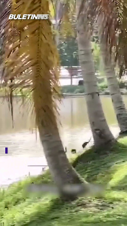 TULAR | Budak hampir lemas diselamatkan orang awam