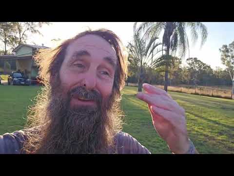 Hydro Wicking Video & Chook Palace Update - Community Video