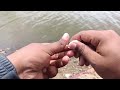 Sunrise to Sunset: A Fishing Journey of a Lifetime" Tight lines and happy fishing!