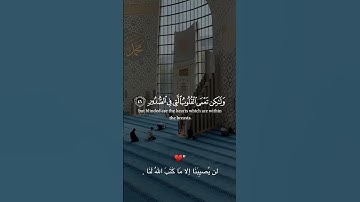 صلوا على النبي🤍🤍🥀 #تلاوة_خاشعة #اكسبلور #طمأنينة #لايك #قرآن #قران_كريم #راحة_نفسية