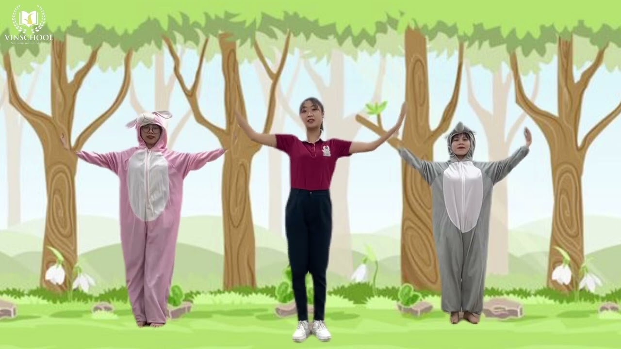 Chim gõ kiến - Kể chuyện âm nhạc “Nhịp điệu rừng xanh”