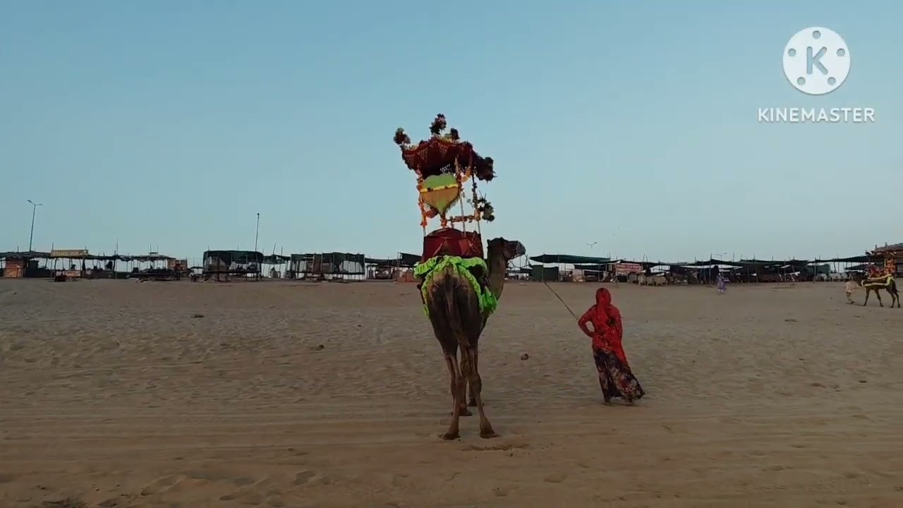 माधवपूर गाव और वाहका समंदर #mahakalbhakt #mh21 #somnath #sanatandharma #12jyotirling #4dhamyatra 