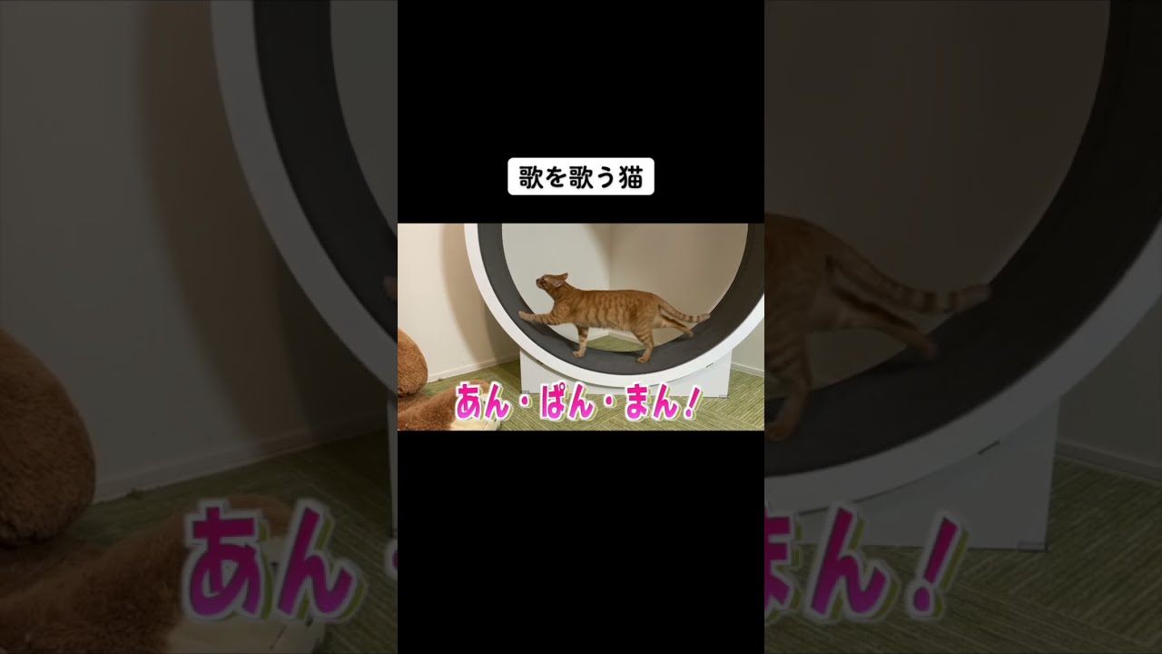 hq720_2.jpg?sqp=-