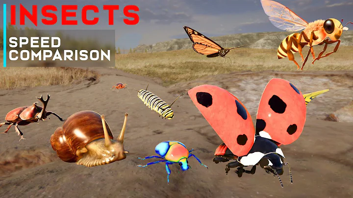Insect 3D Speed Comparison | Top Insect Speed