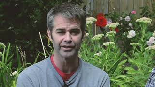 SEGMENT: Cannaview with Mark Hubbard - Predictions on DEA Response & Action | 2018 Farm Bill | CBD