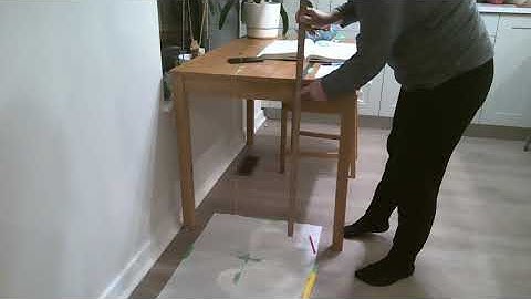 Projectile Motion Lab