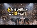「6年待った奇跡…EXOの感動ステージを見逃すな!✨」