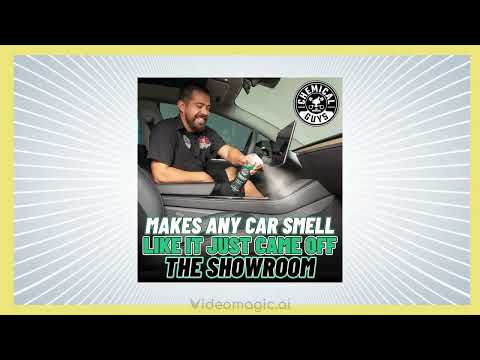 Chemical Guys AIR_101_16