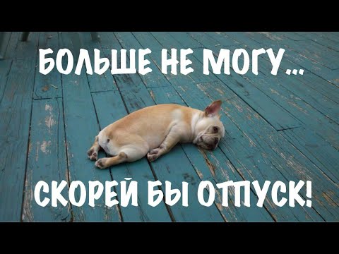 Смешное видео. Понедельник. На работу. Прикол.