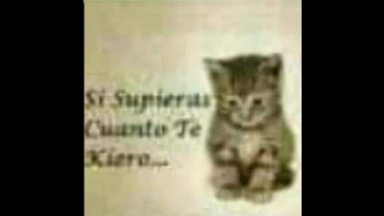 Mulan, Viglezz, Fafabian - Sientes