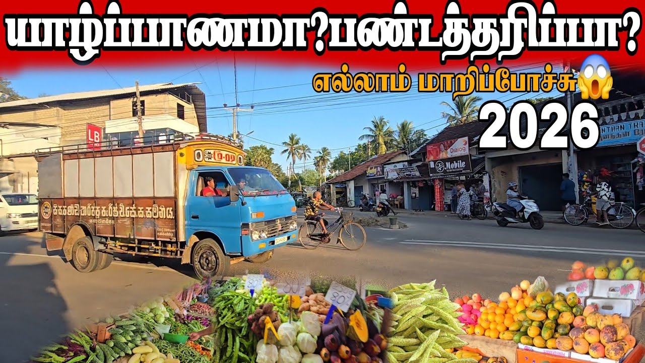 யாழ்ப்பாணத்தில் உள்ள பண்டத்தரிப்பு தரிப்பு நகரின் நிலை😱The situation of the trading city in Jaffna😱