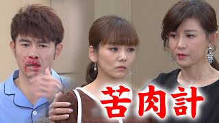 【天之驕女】EP100 一龍上演苦肉計求靜柔原諒 子婷知道懷上畸形兒大崩潰