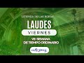 Oración de la mañana (Laudes), VIERNES 24 DE MAYO 2024 |VII SEMANA DE DE TIEMPO ORDINARIO |