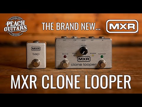 First Impressions of the BRAND NEW... MXR M303 Clone Looper - YouTube