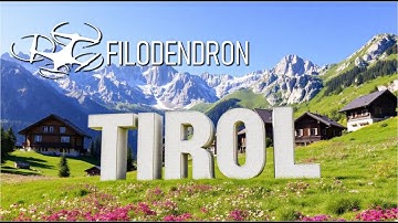 Alpine Serenity | Drone Cinematic in the Heart of the Alps 4K