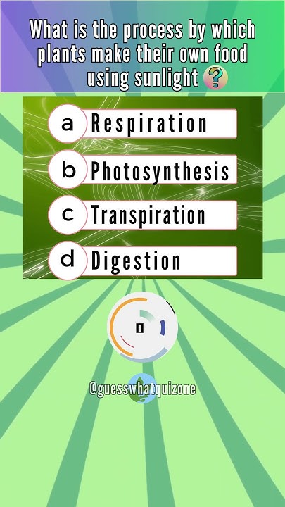 name-the-process-by-which-plants-make-food-using-sunlight-general